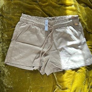 NEW WITH TAGS | LOFT Shorts in Khaki (Size large)